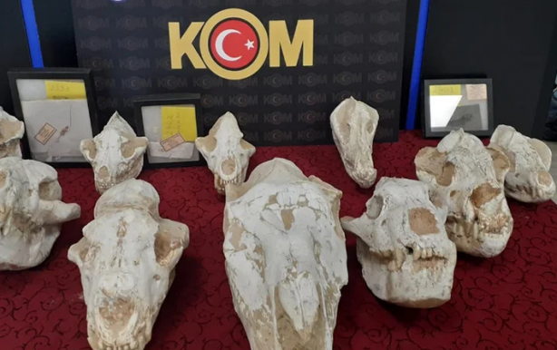 Foto - Adnan Oktar'ın evinden çıktı! 150 milyon yıllık fosillerin değeri dudak uçuklattı