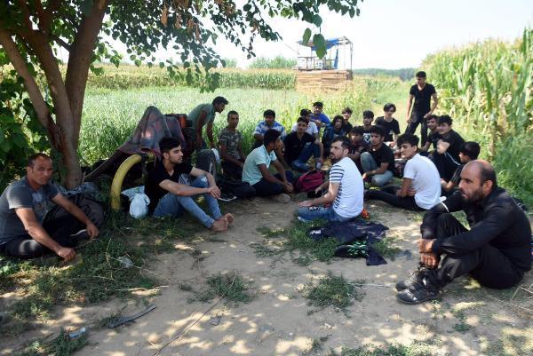 Afgan göçmenler Yunanistan'a akın etti! Sebebi şok etti