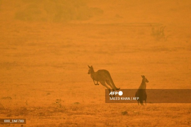 Foto - AFP paylaştı! Listede Türkiye'den de bir kare var