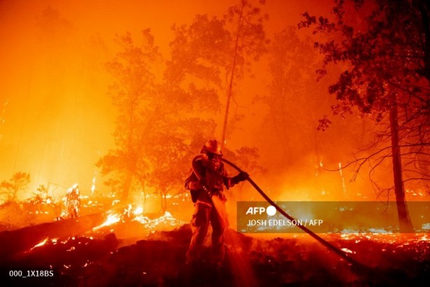 Foto - AFP paylaştı! Listede Türkiye'den de bir kare var