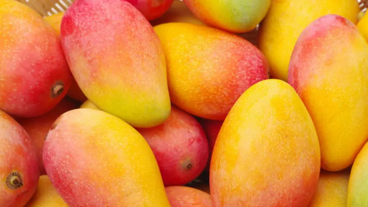 Foto - Afrika meyvesini tattınız mı? Taş gibi damarları yumuşatıyor! Kalp dostu o meyve