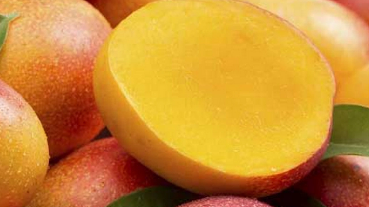 Foto - Afrika meyvesini tattınız mı? Taş gibi damarları yumuşatıyor! Kalp dostu o meyve