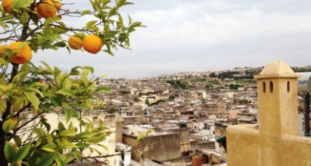 Foto - Afrika'nın gizemli ülkesi Fas'tan ilginç görüntüler