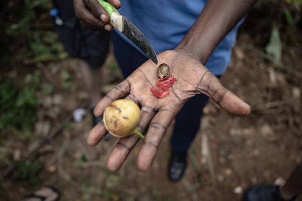 Foto - Afrika'nın renkli adası; Zanzibar