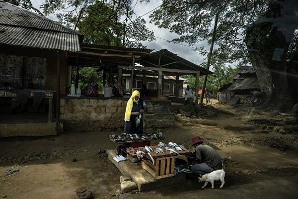 Foto - Afrika'nın renkli adası; Zanzibar