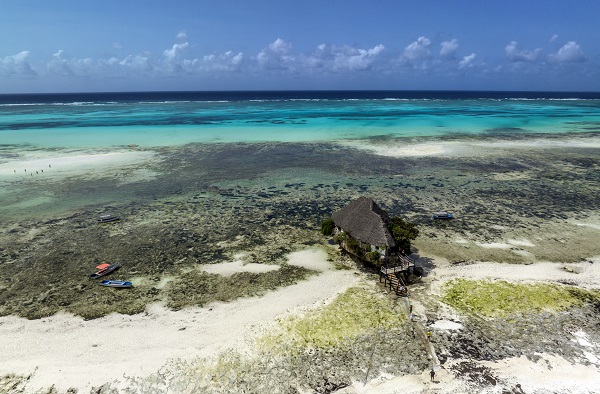 Foto - Afrika'nın renkli adası; Zanzibar