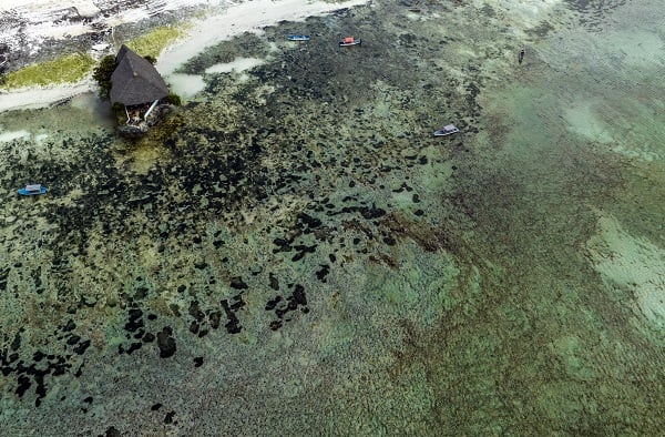 Foto - Afrika'nın renkli adası; Zanzibar