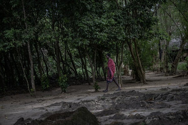 Foto - Afrika'nın renkli adası; Zanzibar