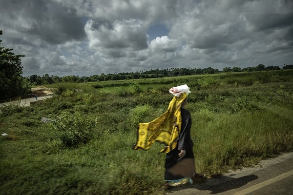 Foto - Afrika'nın renkli adası; Zanzibar