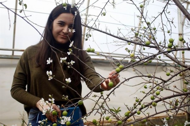 Foto - Afrin’deki Mehmetçiklerin hamile eşlerine anlamlı hediye
