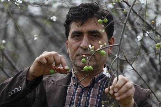Foto - Afrin’deki Mehmetçiklerin hamile eşlerine anlamlı hediye