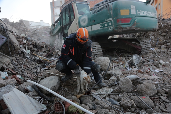 Foto - Afşin ilçesinde arama kurtarma çalışmaları tamamlandı