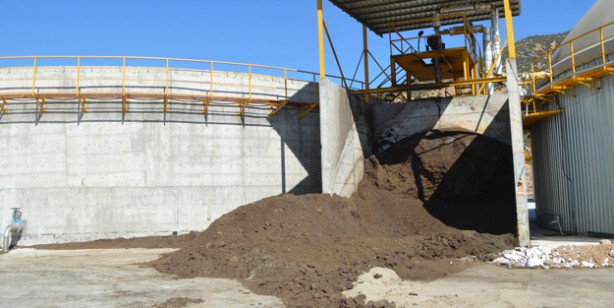 Foto - Afyonkarahisar'da elektrik üretilecek! Atık, enerjiye dönüşüyor! Meyvelerin çekirdekleri katı yakıtta kullanılıyor