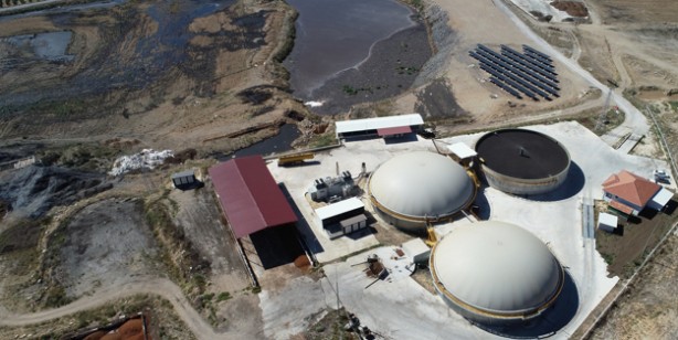 Foto - Afyonkarahisar'da elektrik üretilecek! Atık, enerjiye dönüşüyor! Meyvelerin çekirdekleri katı yakıtta kullanılıyor