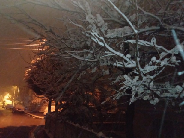 Foto - Afyonkarahisar’da kar yağışı etkili oldu