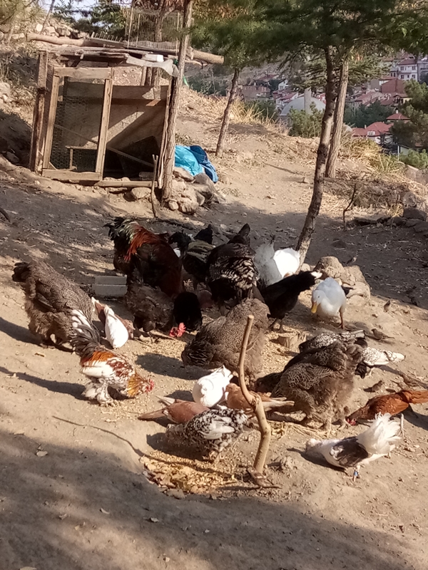 Foto - Afyonkarahisar'da mutlaka görülmesi gereken mekanlar