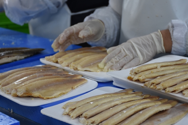 Foto - Afyonkarahisar'da üretip dünyaya satıyorlar!