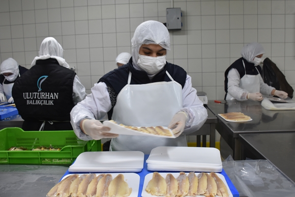 Foto - Afyonkarahisar'da üretip dünyaya satıyorlar!