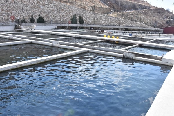 Foto - Afyonkarahisar'da üretip dünyaya satıyorlar!