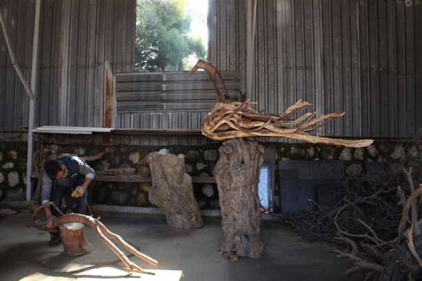 Ağaç dallarıyla sanat yapıyor