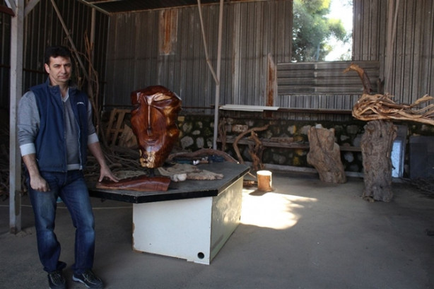 Foto - Ağaç dallarıyla sanat yapıyor