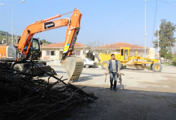 Foto - Ağaç dallarıyla sanat yapıyor