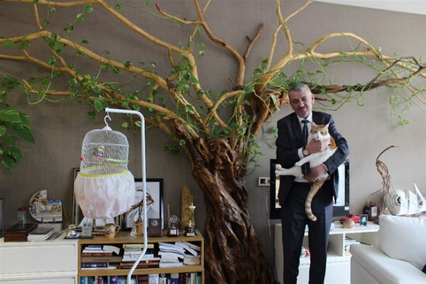 Foto - Ağaç dallarıyla sanat yapıyor