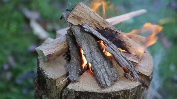 Foto - Ağaç kütüğünü ocağa çevirdi!