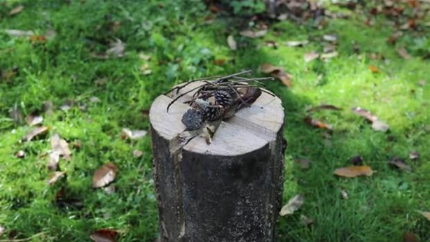 Foto - Ağaç kütüğünü ocağa çevirdi!