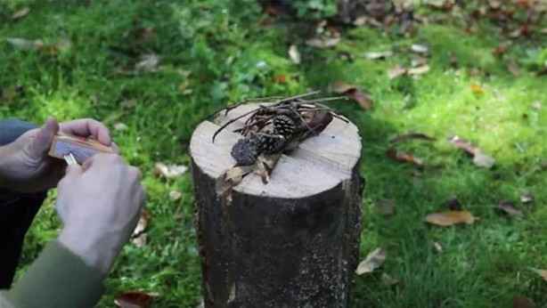 Foto - Ağaç kütüğünü ocağa çevirdi!