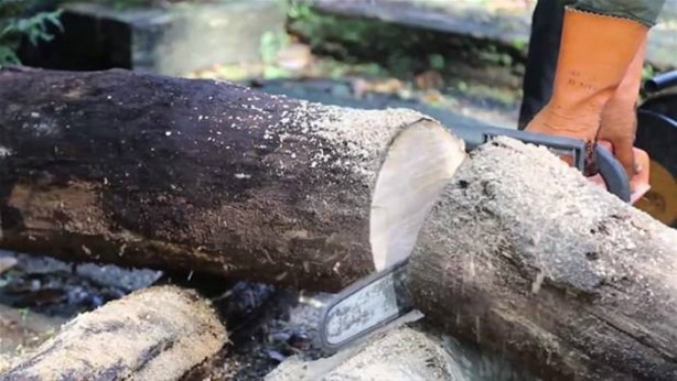 Foto - Ağaç kütüğünü ocağa çevirdi!