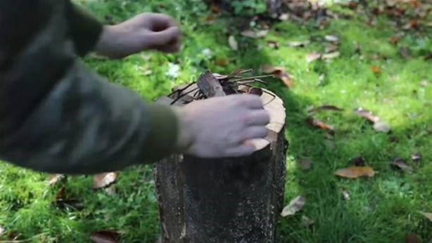 Foto - Ağaç kütüğünü ocağa çevirdi!