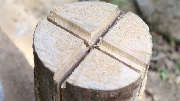 Foto - Ağaç kütüğünü ocağa çevirdi!