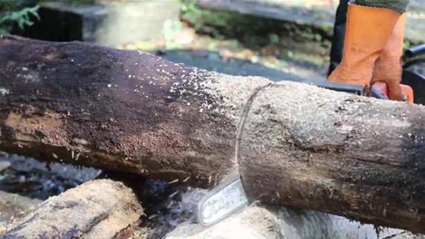 Foto - Ağaç kütüğünü ocağa çevirdi!