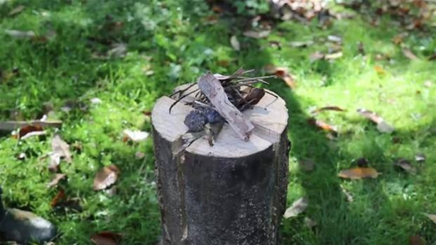 Foto - Ağaç kütüğünü ocağa çevirdi!