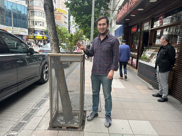 Ağaç zarar görmesin diye bakın ne yaptı