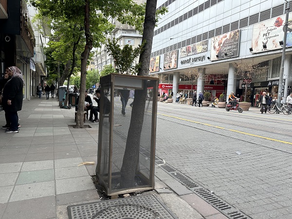 Foto - Ağaç zarar görmesin diye bakın ne yaptı