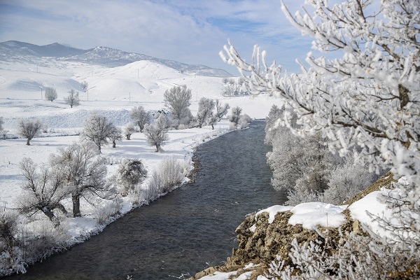 Foto - Ağaçlar buz tuttu ortaya bu manzara çıktı