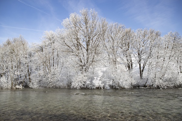 Foto - Ağaçlar buz tuttu ortaya bu manzara çıktı