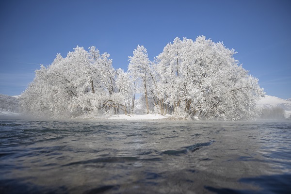 Foto - Ağaçlar buz tuttu ortaya bu manzara çıktı