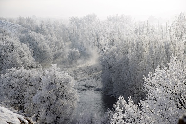 Foto - Ağaçlar buz tuttu ortaya bu manzara çıktı