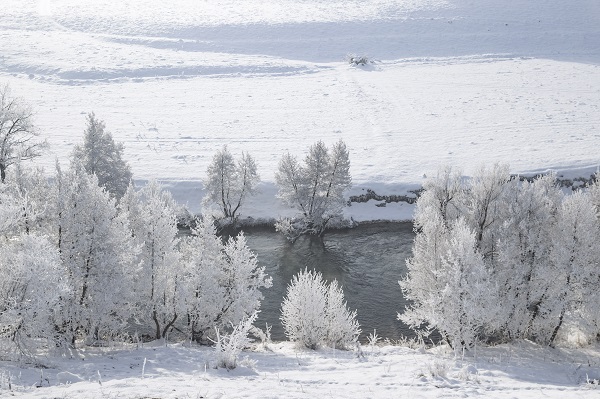 Foto - Ağaçlar buz tuttu ortaya bu manzara çıktı