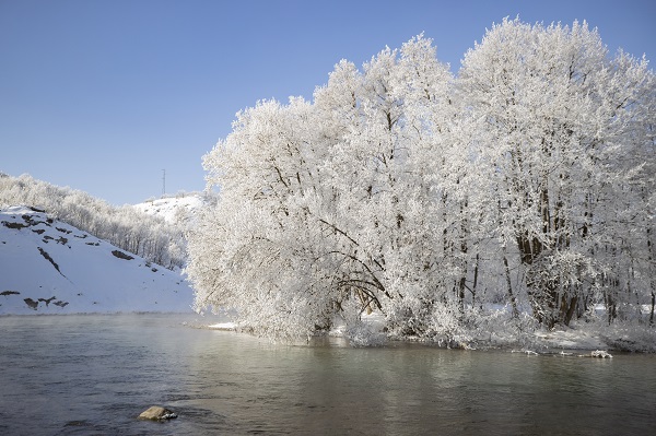 Foto - Ağaçlar buz tuttu ortaya bu manzara çıktı