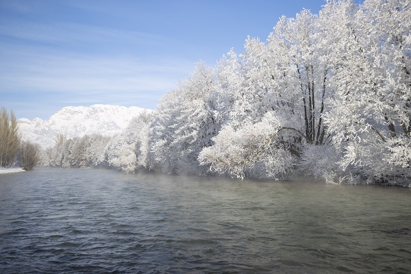 Foto - Ağaçlar buz tuttu ortaya bu manzara çıktı