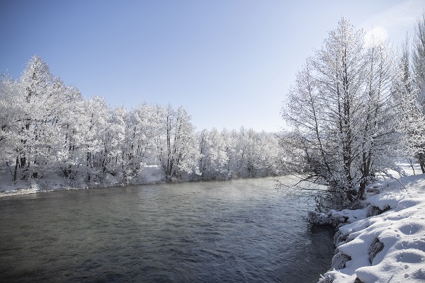 Foto - Ağaçlar buz tuttu ortaya bu manzara çıktı