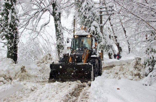 Foto - Ağaçlar ev ve araçların üzerine devrildi