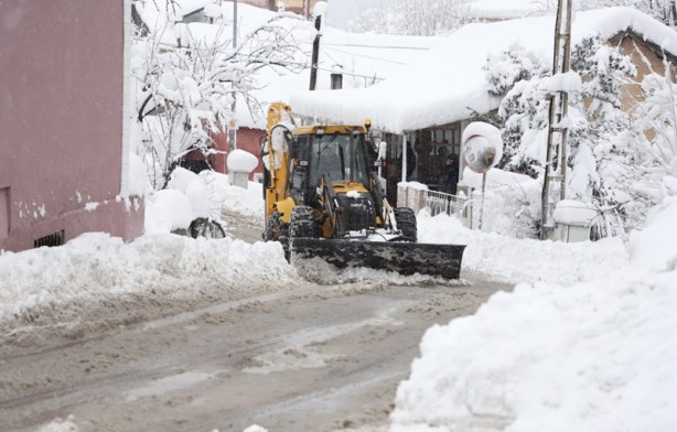 Foto - Ağaçlar ev ve araçların üzerine devrildi