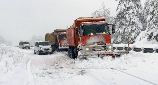 Foto - Ağaçlar ev ve araçların üzerine devrildi