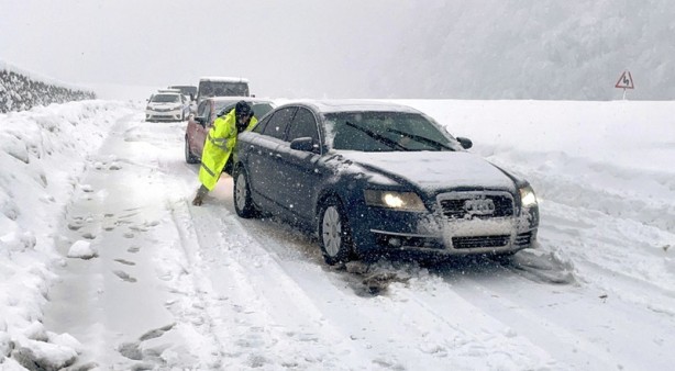 Foto - Ağaçlar ev ve araçların üzerine devrildi