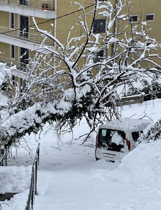 Ağaçlar ev ve araçların üzerine devrildi